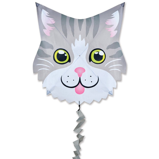 Fun Flyer Gray Cat