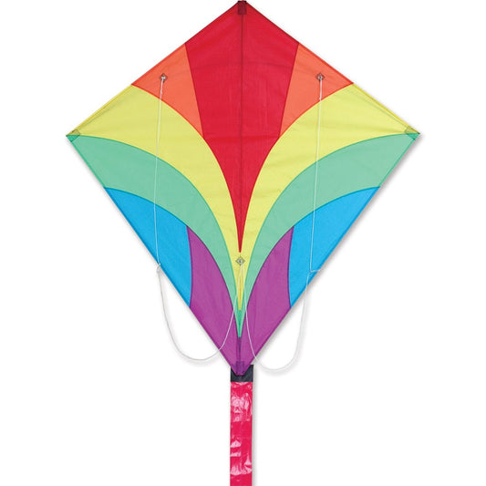 Rainbow Ace Sport Kite